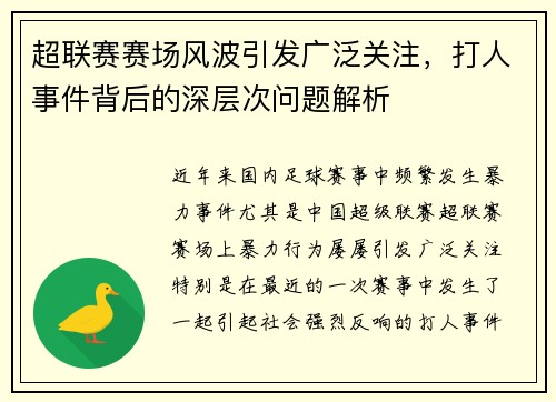 超联赛赛场风波引发广泛关注，打人事件背后的深层次问题解析