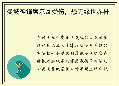 曼城神锋席尔瓦受伤，恐无缘世界杯