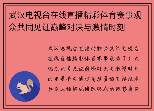 武汉电视台在线直播精彩体育赛事观众共同见证巅峰对决与激情时刻